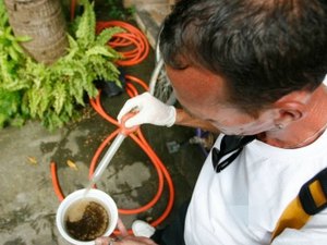 Chicungunha: Pernambuco já registra 13 casos da doença