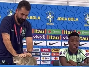 Teoria da 'maldição do gato' associada à eliminação do Brasil na Copa volta a viralizar