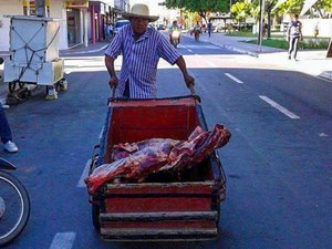 Carroceiro é flagrado transportando carne no centro de Arapiraca
