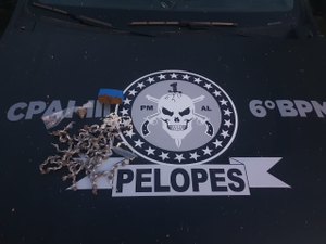 Adolescente é flagrado com drogas em plantação de macaxeira em Maragogi