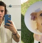 Whindersson adota cachorro vítima de maus-tratos: 'Jogaram ácido'