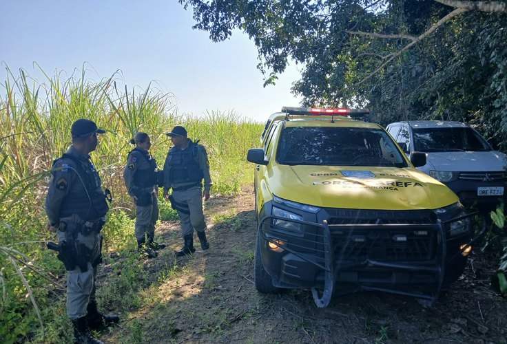 Helicóptero localiza caminhonete roubada em Messias escondida em canavial de Rio Largo