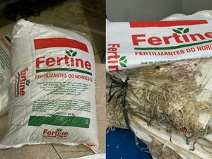 Operação desarticula grupo envolvido de desviar fertilizantes no Porto de Maceió