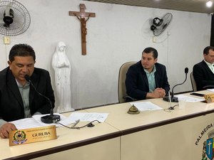 Câmara faz sessão extraordinária para tratar de criação de creches em Palmeira dos Índios