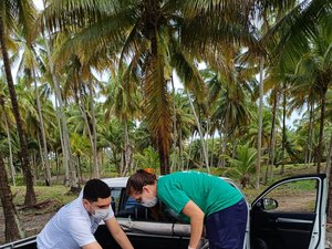 Tartaruga-verde é resgatada com ferimento grave na praia de Ipioca