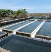 Arapiraca e mais três cidades do Agreste terão abastecimento de água paralisado para manutenção