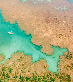 Projeto Corais de Alagoas avança no Litoral Norte do estado
