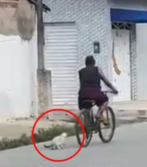 Gato preso em uma corda é visto sendo arrastado por mulher em bicicleta, no Pilar