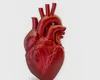 A cada 72 segundos, uma pessoa morre por doença cardiovascular no país