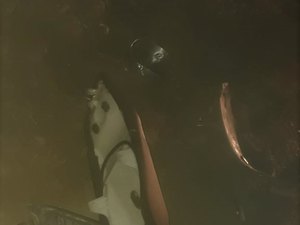 Dois acidentes são registrados em trechos próximos da AL-115, em Arapiraca