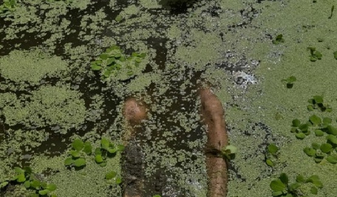Amigos matam trabalhador com cerca de 30 golpes de faca e facão em Canapi