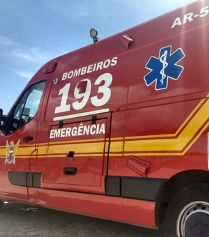 Idoso fica ferido após colisão entre carro e bicicleta na BR-316, em Santana do Ipanema