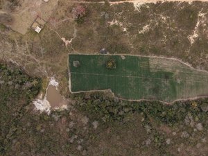 PF cumpre mandados de prisão em Alagoas contra cultivo ilegal de maconha