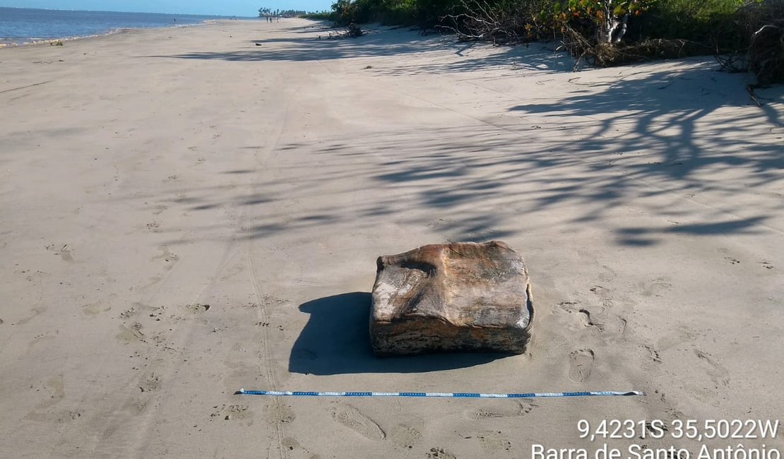 Em apenas um dia mais 8 novos fardos foram encontrados em Maceió e no litoral norte