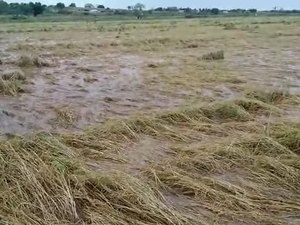 Corpo é encontrado em loteamento no povoado Carnaíba de Baixo