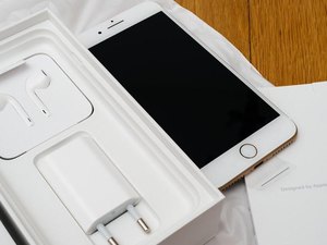 Celular roubado da casa de uma juíza em São Paulo é apreendido no Agreste