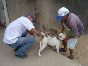 CCZ realiza campanha de vacinação antirrábica