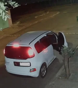 Cachorro é abandonado e corre atrás do carro do tutor