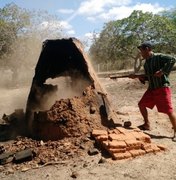 FPI combate produção de carvão decorrente de desmatamento de mata da Caatinga