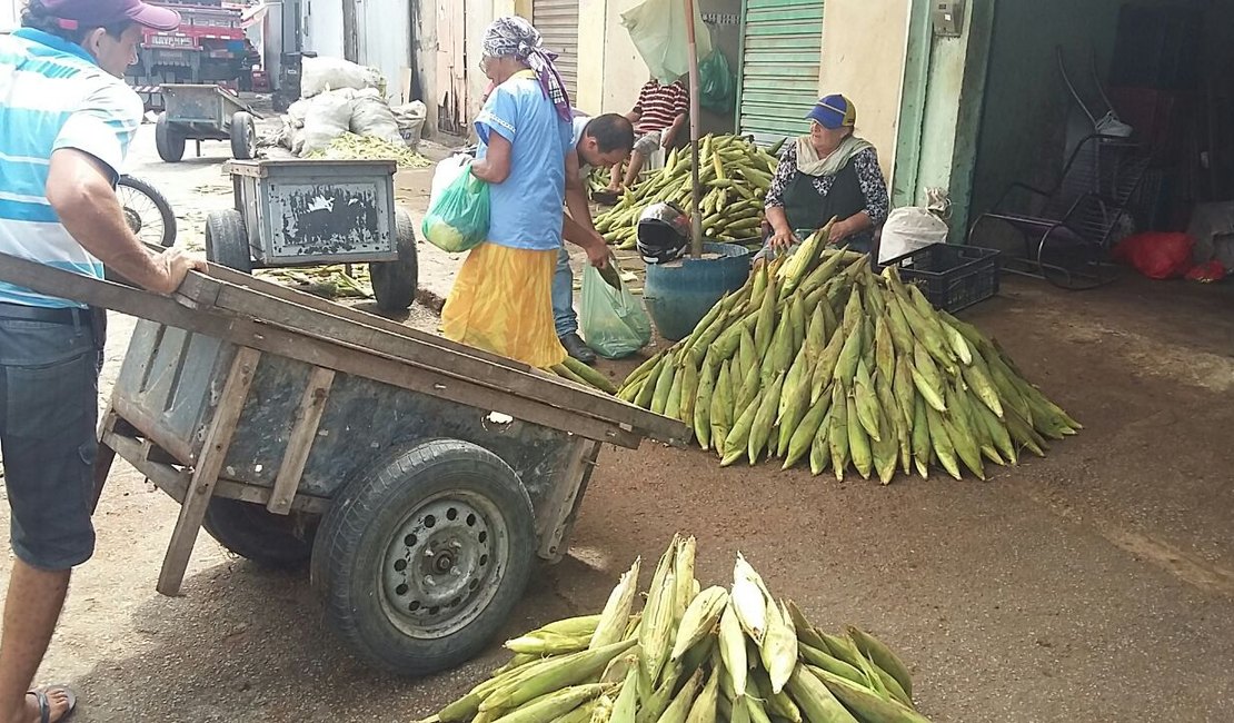 A um mês do São João, preço da 'mão' de milho varia entre R$ 40 e R$ 50 na capital