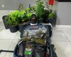 PM desarticula laboratório de drogas e localiza plantio de maconha na Barra Nova