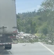 Árvore desaba e interdita parcialmente rodovia na zona rural de Satuba