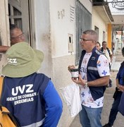 Arapiraca implanta nova estratégia para monitoramento do mosquito da dengue