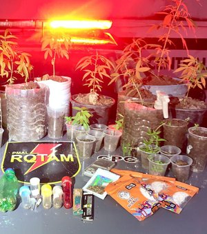 Polícia desmantela plantio de maconha em Satuba e prende traficante
