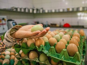Educação promove seminário de avicultura e suinocultura dentro do Arapiraca Agroshow