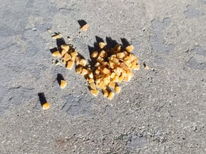 Guarda Municipal apreende 85 pedras de crack durante ação na Ponta Verde