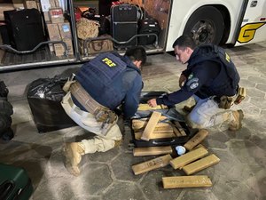 [Vídeo] Duas mulheres são presas com 85 kg de maconha em São Sebastião