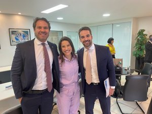 PSDB discutirá principais urgências do Brasil em seminários, diz Pedro Vilela