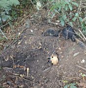 Ossada humana é encontrada com roupas durante perícia em Coruripe