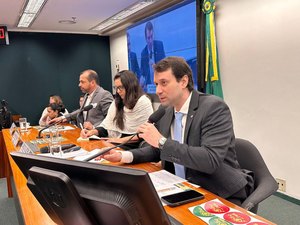 Deputados discutem qualidade da alimentação escolar durante audiência na Câmara