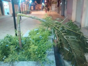 Vândalos destroem jardins de calçadão recém inaugurado