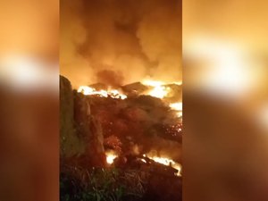 Governo reconhece emergência em 36 cidades do Amazonas após incêndios