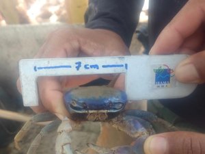 Pescador é multado em quase 200 mil reais por pesca de animal em extinção