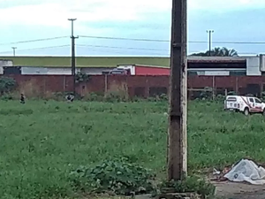 Corpo é encontrado por trás de posto de combustíveis em São Miguel dos Campos