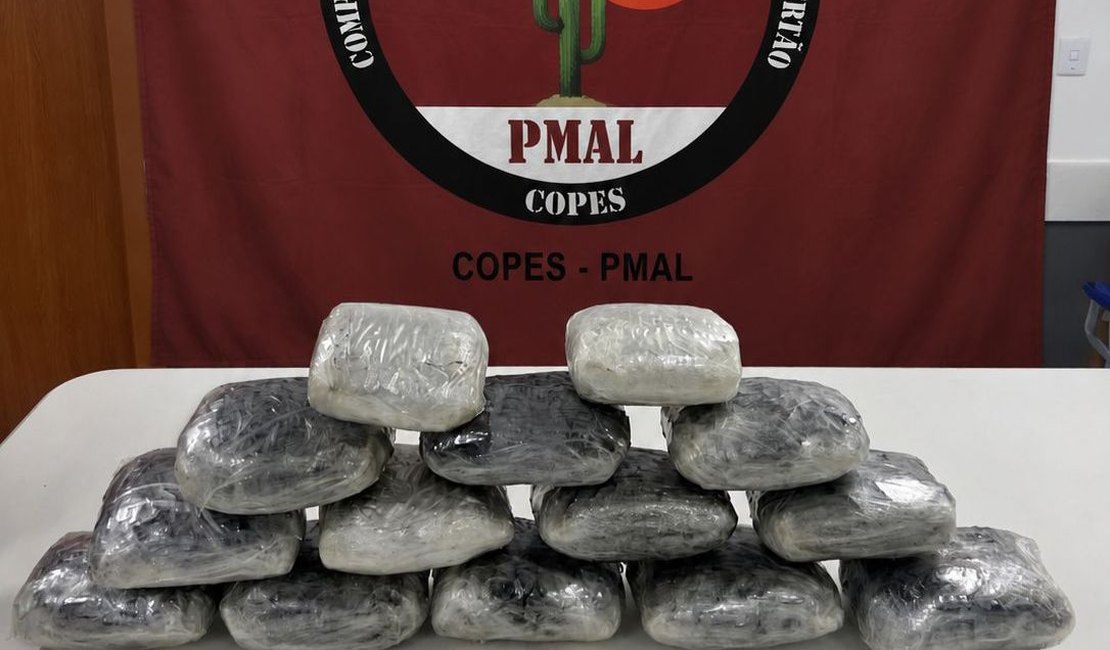 Operação Protetor Divisa apreende 7,7 kg de maconha escondida em Mercedes-Benz na BR-316