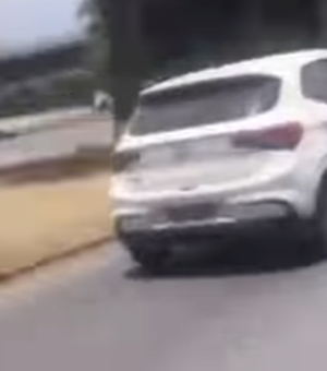 Cachorro é flagrado correndo atrás de carro após ser abandonado em Maceió