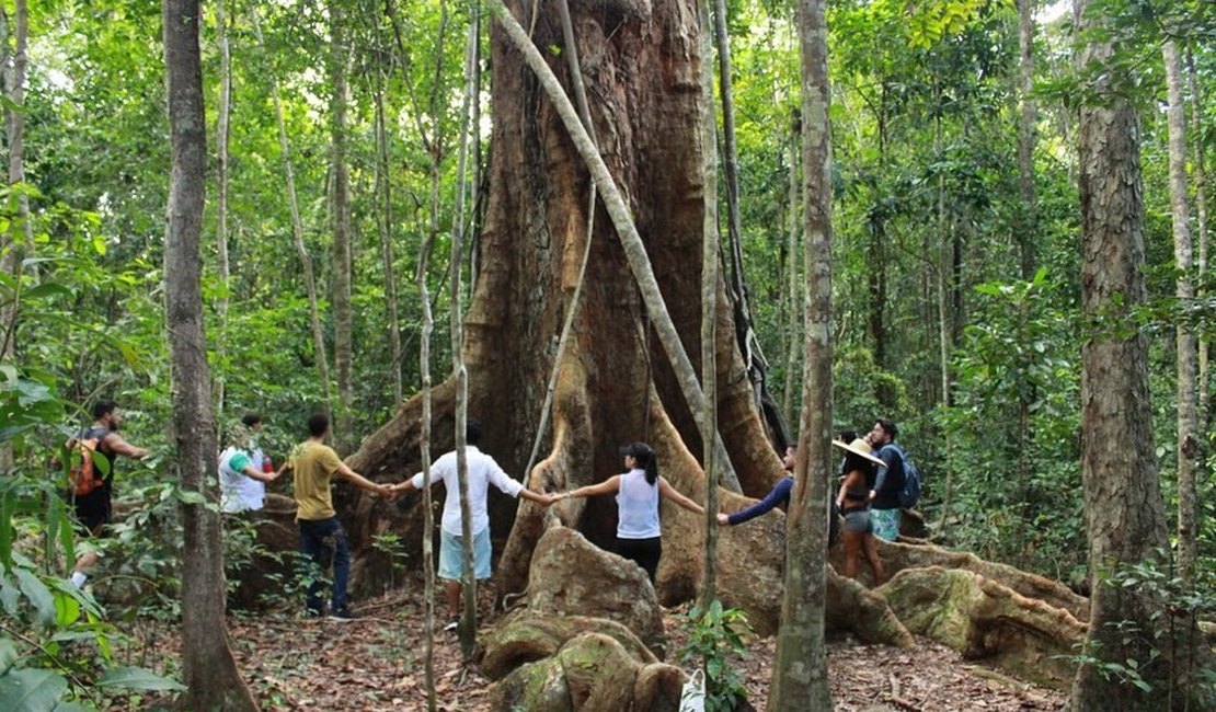 Maragogi possui destaque com de turismo de experiência e ecoturismo