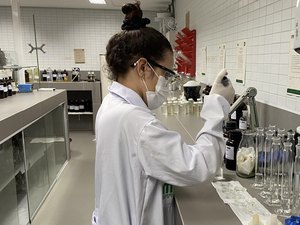 IMA diz que mortandade de peixes em Jequiá da Praia foi provocada por ações humanas