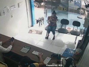 Cão machucado entra sozinho em clínica veterinária e recebe tratamento