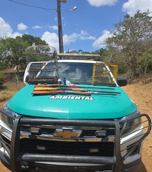 PM-AL apreende armas e resgata aves silvestres durante fiscalização no Agreste