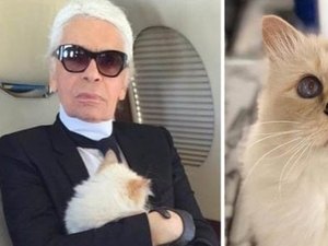 Gata de estimação de Lagerfeld pode herdar R$ 460 milhões