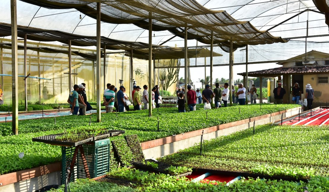 Exposição em Arapiraca reúne mais de 500 horticultores do Nordeste