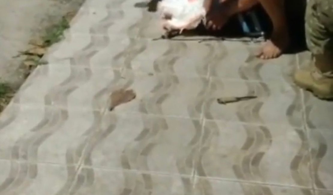 PM salva dono de pitbull de ataque do animal no Benedito Bentes