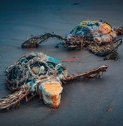 IMA lança exposição e catálogo do VII Concurso de Fotografia Ambiental