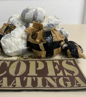 PM apreende 28 armas de fogo e 31,4 kg de drogas na última semana em AL