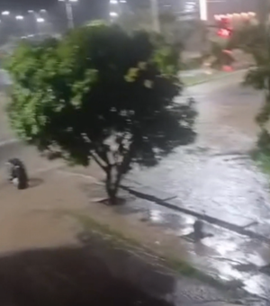 [Vídeos] Forte chuva causa alagamentos em diversos pontos de Delmiro Gouveia